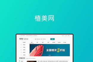 池州網站建設與軟件開發服務專家——司瓦圖網絡