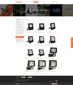 從民治到深圳 一站式數字解決方案，助力歐美克照明照亮全球市場